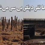 نام «پرادو» چه معنایی دارد؟ ریشه نام‌گذاری لندکروزر پرادو تویوتا چیست؟