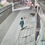 فیلم حمله شیر به زن و بچه در خیابان / لحظه ترسناک در دوربین ثبت شد!