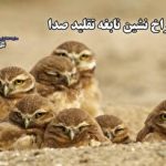 وقتی ابرکامپیوتر ژاپنی انسان را تحقیر می‌کند؛ ۴ میلیارد تریلیون محاسبه عددی در ۱۰ ثانیه!