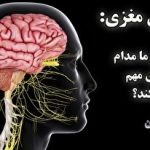ریزپرنده پشه‌ای چین چه قابلیت‌هایی دارد؟