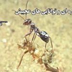گاز طبیعی مایع‌شده (LNG) چیست و چرا گران است؟