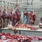 قیمت گوشت قرمز امروز یکشنبه ۱۸ آبان ۱۴۰۴ اعلام شد + جدول قیمت‌ها