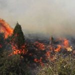 نازی آباد یا تیک تاک؟ مساله این است!