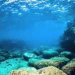 چطور اقیانوس، کربن را میلیون‌ها سال ذخیره می‌کند