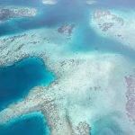 تقویت تاب‌آوری صخره‌های مرجانی با شبکه‌های متصل