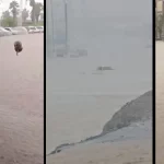 سیلاب شدید در جنوب کشور ادامه دارد / جان باختن 4 نفر در استان فارس تا کنون!