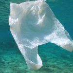 پلاستیک گیاهی که در آب دریا ظرف چند ساعت حل می‌شود