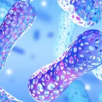 تأثیر مواد شیمیایی روزمره بر باکتری‌های مفید روده